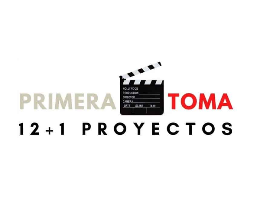 PRIMERA TOMA 12+1 PROYECTOS
